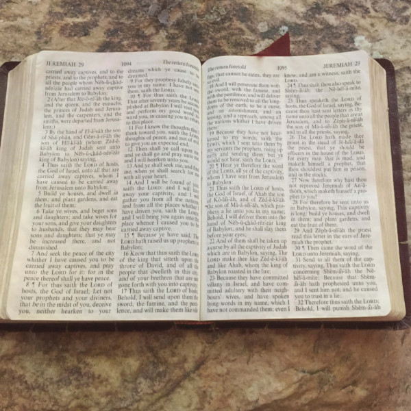 20 bibelcitater om Bibelen